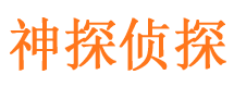 平原市婚外情调查